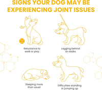 Vetzyme - Flexible Joint With Glucosamine Tablets - 30 Tablets