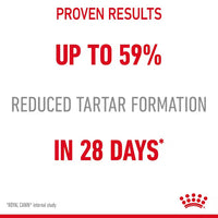 Royal Canin - Dental Care Cat Kibble