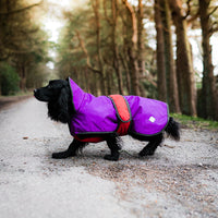 Danish Design - Ultimate 2In1 Dog Coat, Purple