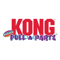 Kong - Pull-A-Partz Pinata