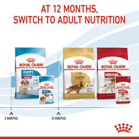 Royal Canin - Medium Puppy Dog In Gravy Pouch, 140g