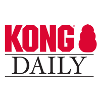 Kong - Daily Newspaper Dog Toy