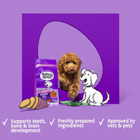 Barking Heads - All Hounder Puppy Days, Turkey - 2kg