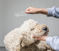 Mikki - Doodles Doodle Comb