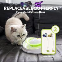 All For Paws - Interactive Roll Around Flutter Bug Toy