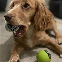 Sports Pet - Glow In The Dark High Bounce Ball