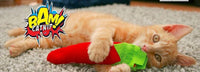 BAM - Catnip Carrot Toy