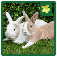 Burgess - Excel Adult Rabbit Nuggets, Mint