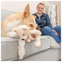 Trixie - World Animal Welfare Day Bear - 27cm