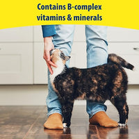 Kitzyme - Cat Conditioning Tablets - 100 Tablets