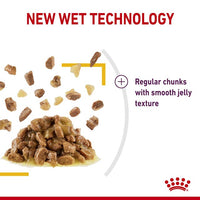 Royal Canin - Sensory Taste Chunks In Jelly 85g Pouch - 12 Pack