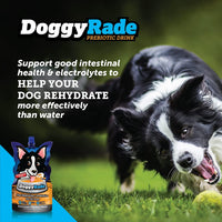 DoggyRade - Isotonic Drink for Pets, Chicken - 250ml