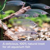 King British - Daphnia Treats - 18g
