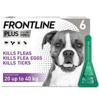 Frontline Plus Spot On Large Dog (20-40kg)