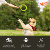 Nerf Dog - Toss & Tug Ring Dog Toy