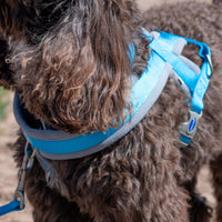 Ancol - Viva Padded Harness, Blue