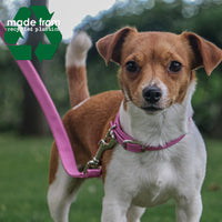 Ancol - Made From Softweave Collar, Red