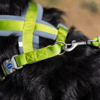 Ancol - Viva Padded Harness, Lime