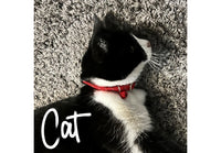 Ancol - Softweave Refl Elastic Cat Collar - Red