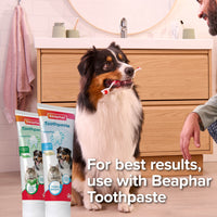 Beaphar - Double Ended Toothbrush for Cats & Dogs