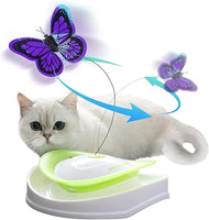 All For Paws - Interactive Roll Around Flutter Bug Toy