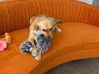 KONG - Comfort Jumbo Birds - XL