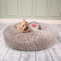 Dream Paws - Anxiety Reducing Plush Bed Brown With Plush Bear Toy