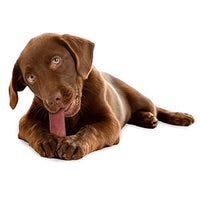 Yakers - Yak Adult Dog Chew - Medium - Strawberry