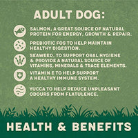 Harrington - Adult Dog Salmon And Potato - 1.7kg