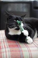 Rosewood - Battersea Daily Catch Of The Day Catnip Toy - 3pc