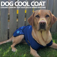 Ancol - Dog Cooling Coat