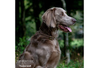 Ancol - Timberwolf Leather Collar, Sable