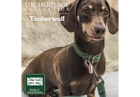 Ancol - Timberwolf Leather Collar, Green