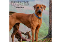 Ancol - Timberwolf Leather Collar, Blue