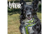 Ancol - Viva Nylon Padded Harness - Red - Large (52-71cm)