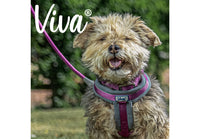 Ancol - Viva Nylon Padded Harness - Red - Large (52-71cm)