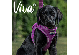Ancol - Viva Step-in Harness - Purple - Medium