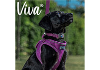 Ancol - Viva Adjustable Collar