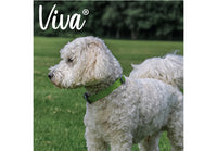 Ancol - Viva Adjustable Collar