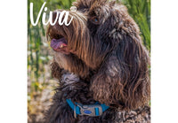 Ancol - Viva Adjustable Collar