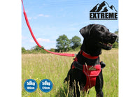 Ancol - Extreme Shock Absorb Lead - Black - 120cm