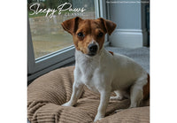 Ancol -  Timberwolf Faux Suede & Cord Cushion - Small (45cmX35cm)