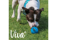 Ancol - Viva Playtime Treat Ball - Asst Colour