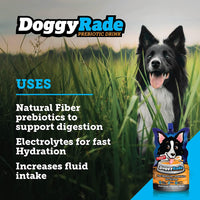 DoggyRade - Isotonic Drink for Pets, Chicken - 250ml