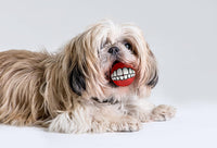 Rogz - Grinz Red Ball