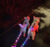 Doodlebone - Light Up LED Lead, Berry