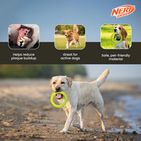 Nerf Dog - Toss & Tug Ring Dog Toy