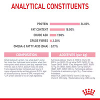 Royal Canin - Kitten 36 Kibble