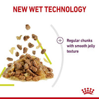 Royal Canin - Sensory Smell Chunks In Jelly 85g Pouches - 12 Pack