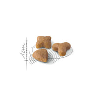 Royal Canin - Sensible Cat 33 Kibble